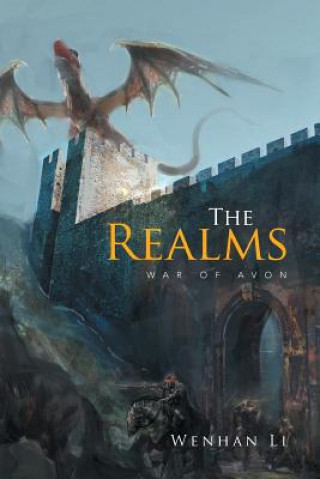 Kniha Realms WENHAN LI
