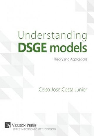 Kniha Understanding DSGE Models Celso Jose Costa Junior