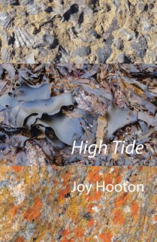 Книга High Tide Hooton