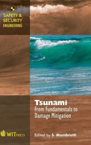 Carte Tsunami 