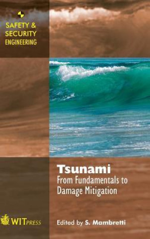 Buch Tsunami 