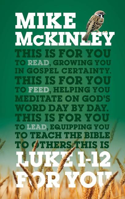 Kniha Luke 1-12 For You MCKINLEY  MIKE