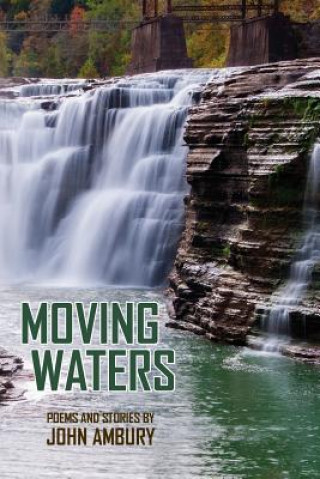 Buch Moving Waters Ambury