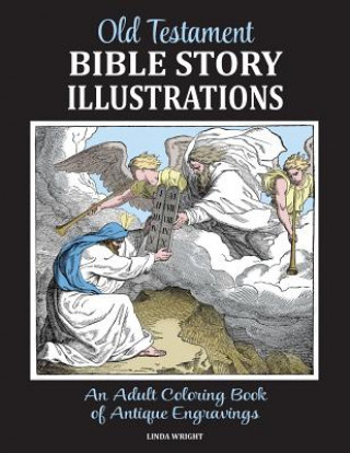 Książka Old Testament Bible Story Illustrations Linda Wright