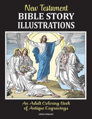 Kniha New Testament Bible Story Illustrations Linda Wright