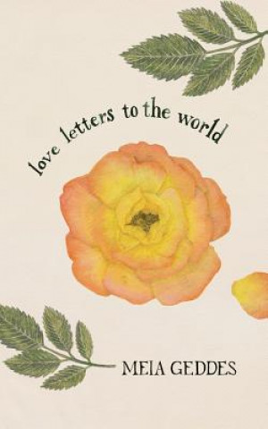 Carte Love Letters to the World Meia Geddes