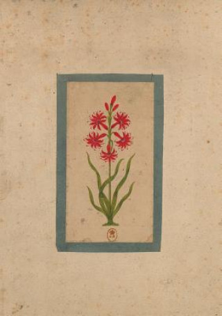 Carte Carnet Blanc, Fleur 1, Miniature Indienne 18e Siecle Sans Auteur