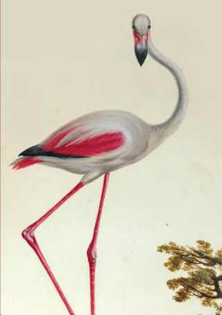 Könyv Carnet Ligne, Flamant Rose Aubriet-C