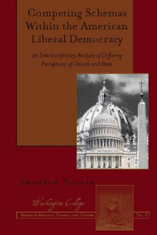 Kniha Competing Schemas Within the American Liberal Democracy Shannon Holzer