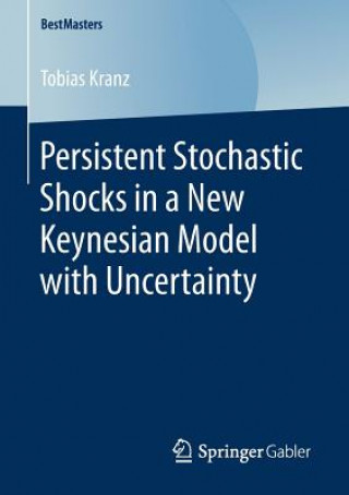 Buch Persistent Stochastic Shocks in a New Keynesian Model with Uncertainty Tobias Kranz