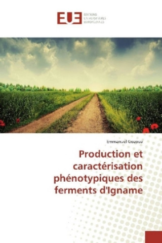 Kniha Production et caractérisation phénotypiques des ferments d'Igname Emmanuel Gozoua