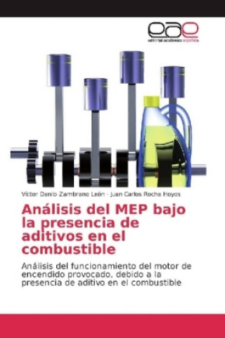 Könyv Análisis del MEP bajo la presencia de aditivos en el combustible Víctor Danilo Zambrano León
