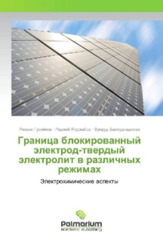 Könyv Granica blokirovannyj jelektrod-tverdyj jelektrolit v razlichnyh rezhimah Rizvan Gusejnov