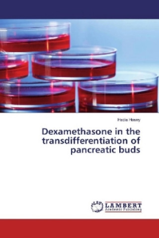 Kniha Dexamethasone in the transdifferentiation of pancreatic buds Hadia Hosny