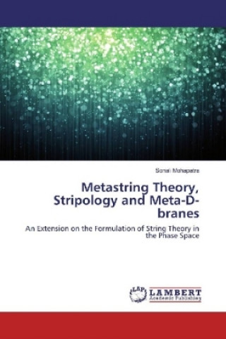 Buch Metastring Theory, Stripology and Meta-D-branes Sonali Mohapatra