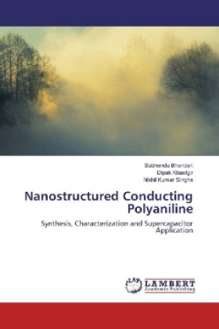 Könyv Nanostructured Conducting Polyaniline Subhendu Bhandari
