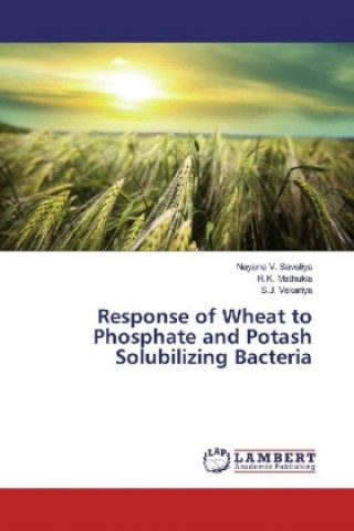 Carte Response of Wheat to Phosphate and Potash Solubilizing Bacteria Nayana V. Savaliya