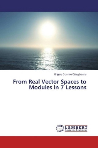 Libro From Real Vector Spaces to Modules in 7 Lessons Grigore Dumitru Calugareanu