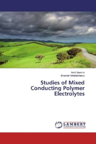 Kniha Studies of Mixed Conducting Polymer Electrolytes Amit Saxena