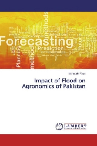 Könyv Impact of Flood on Agronomics of Pakistan Murtazain Raza