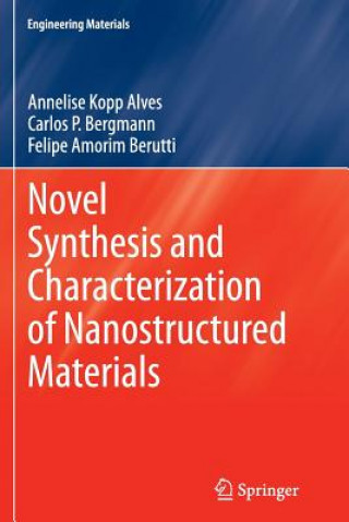 Kniha Novel Synthesis and Characterization of Nanostructured Materials Annelise Kopp Alves