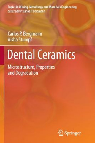 Book Dental Ceramics Carlos P. Bergmann