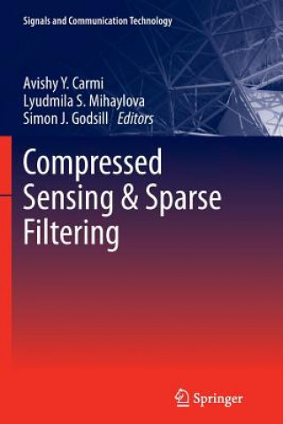 Book Compressed Sensing & Sparse Filtering Avishy Y. Carmi