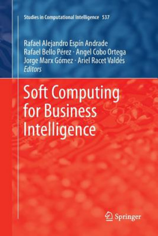 Książka Soft Computing for Business Intelligence Angel Cobo