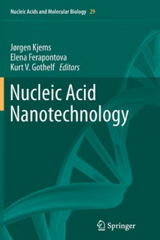 Książka Nucleic Acid Nanotechnology Elena Ferapontova