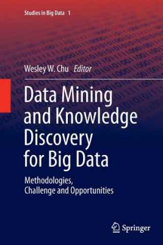 Kniha Data Mining and Knowledge Discovery for Big Data Wesley W. Chu