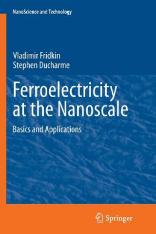 Kniha Ferroelectricity at the Nanoscale Vladimir M. Fridkin