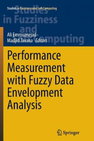 Kniha Performance Measurement with Fuzzy Data Envelopment Analysis Ali Emrouznejad