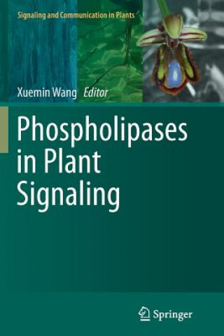 Könyv Phospholipases in Plant Signaling Xuemin Wang