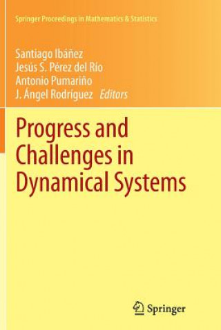 Könyv Progress and Challenges in Dynamical Systems Santiago Ibáñez