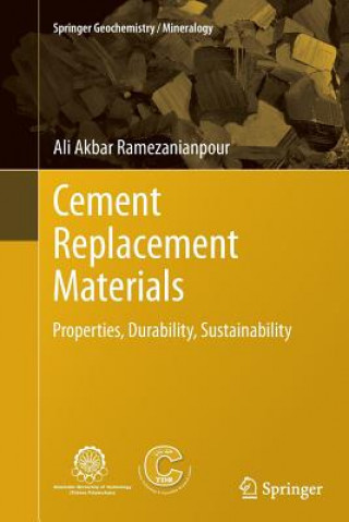 Könyv Cement Replacement Materials Ali Akbar Ramezanianpour