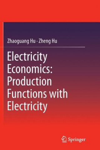 Kniha Electricity Economics: Production Functions with Electricity Zhaoguang Hu