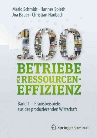 Kniha 100 Betriebe fur Ressourceneffizienz - Band 1 Mario Schmidt