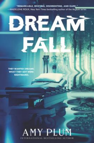 Kniha Dreamfall Amy Plum