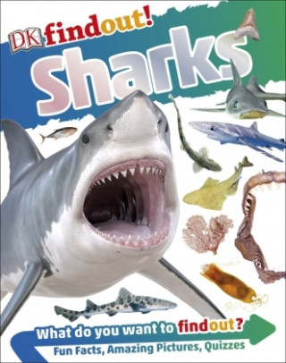 Książka DKfindout! Sharks DK