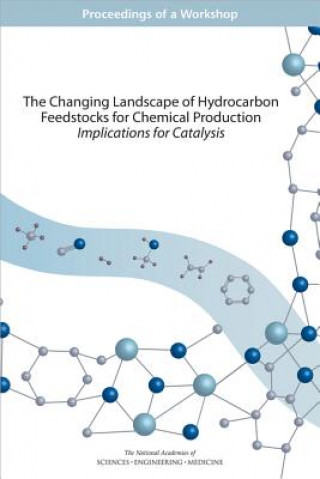Könyv The Changing Landscape of Hydrocarbon Feedstocks for Chemical Production: Implications for Catalysis: Proceedings of a Workshop Board on Chemical Sciences and Technolog