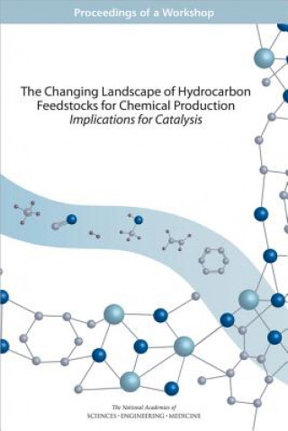 Buch The Changing Landscape of Hydrocarbon Feedstocks for Chemical Production: Implications for Catalysis: Proceedings of a Workshop Board on Chemical Sciences and Technolog