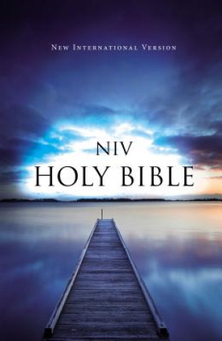 Kniha Value Outreach Bible-NIV Zondervan