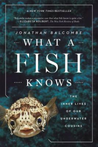 Книга What a Fish Knows: The Inner Lives of Our Underwater Cousins Jonathan Balcombe