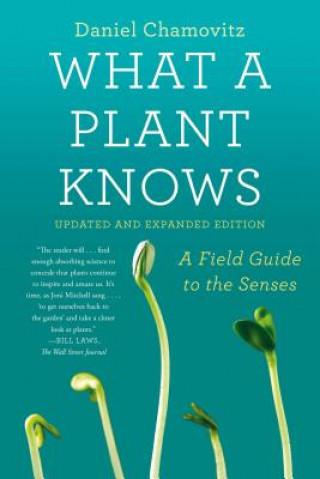 Kniha What a Plant Knows Daniel Chamovitz