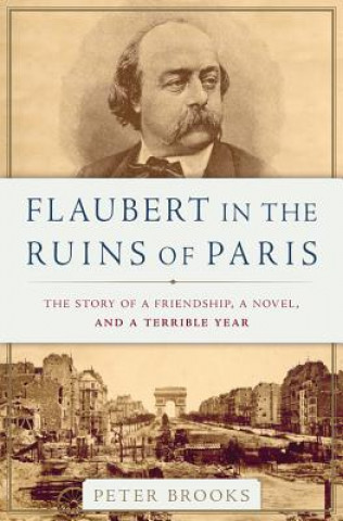 Kniha Flaubert in the Ruins of Paris Peter Brooks