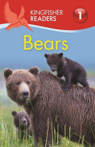 Kniha Bears Thea Feldman