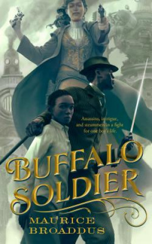 Buch Buffalo Soldier Maurice Broaddus