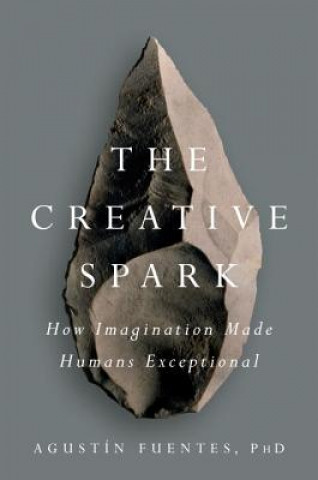 Книга Creative Spark Agustin Fuentes