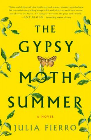 Könyv Gypsy Moth Summer Julia Fierro