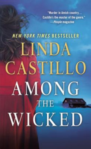 Kniha Among the Wicked Linda Castillo
